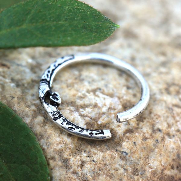 316L Stainless Steel Snake Heart Seamless Ring Fashion Hut Jewelry