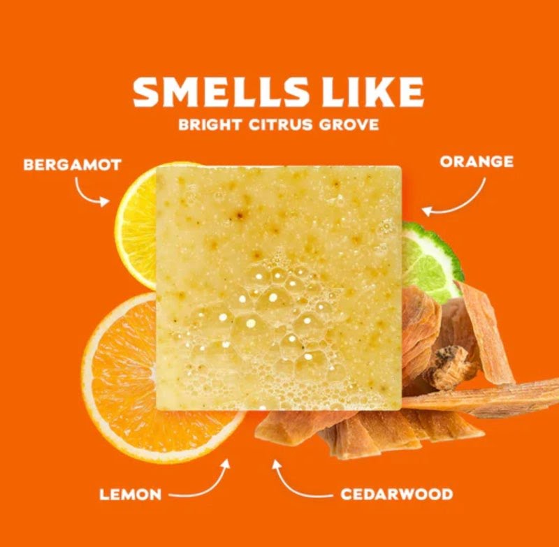 Dr. Squatch Summer Citrus Bar Soap