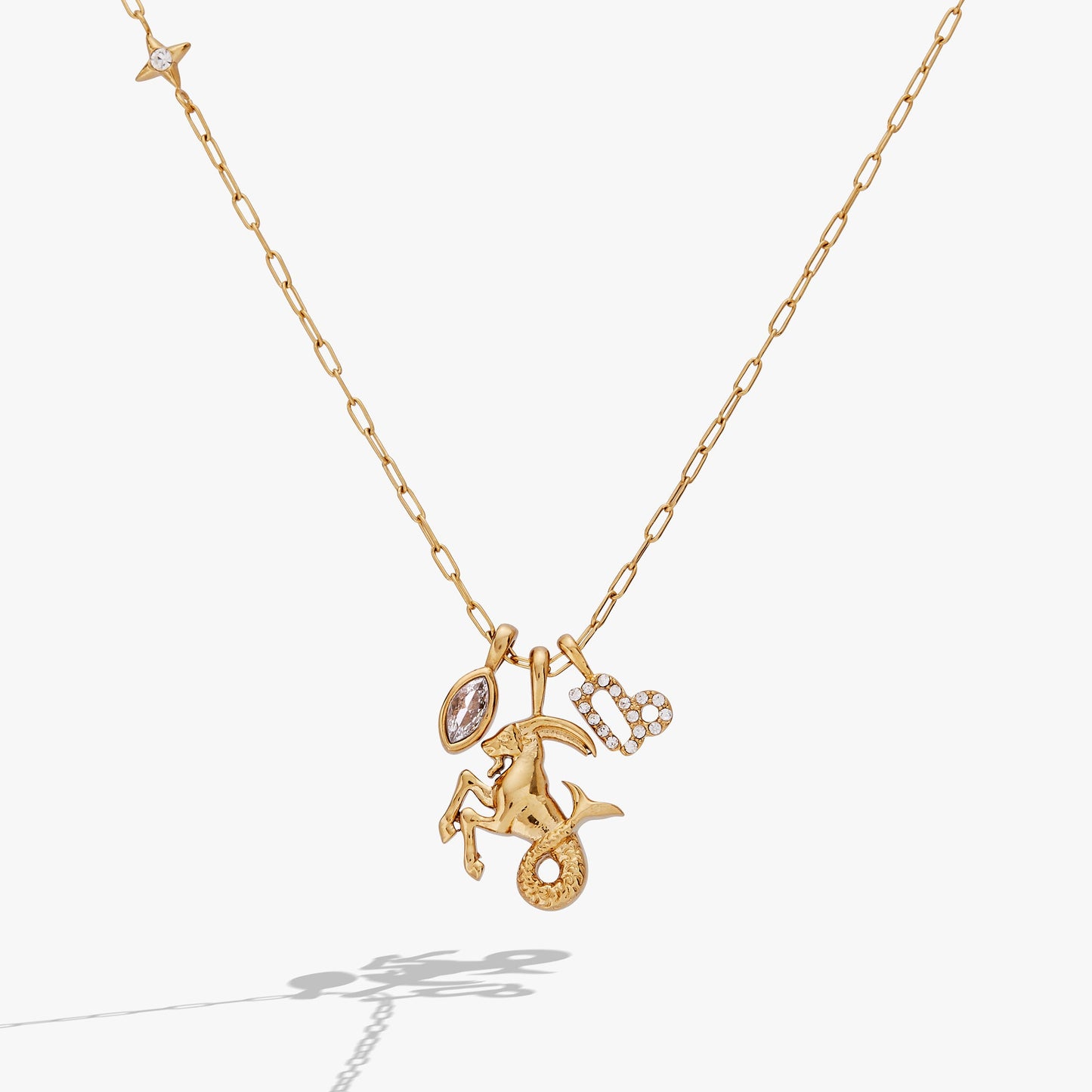 Capricorn Zodiac Charm Cluster Necklace - ALEX AND ANI