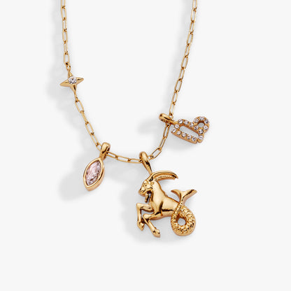 Capricorn Zodiac Charm Cluster Necklace - ALEX AND ANI