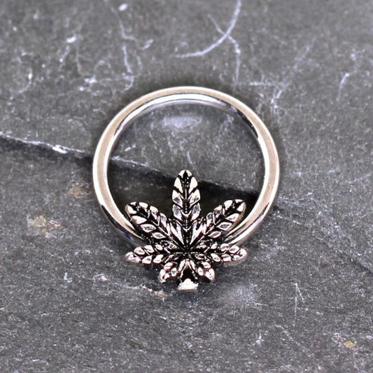 316L Stainless Steel Pot Leaf Snap-in Captive Bead Ring / Septum Ring
