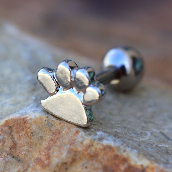 316L Stainless Steel Puppy Paw Print Cartilage Earring