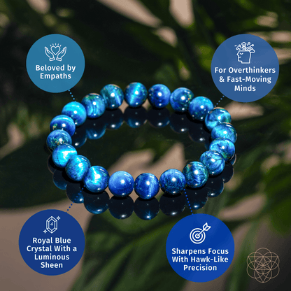 Hawk’s Focus – Royal Blue Tiger’s Eye Bracelet