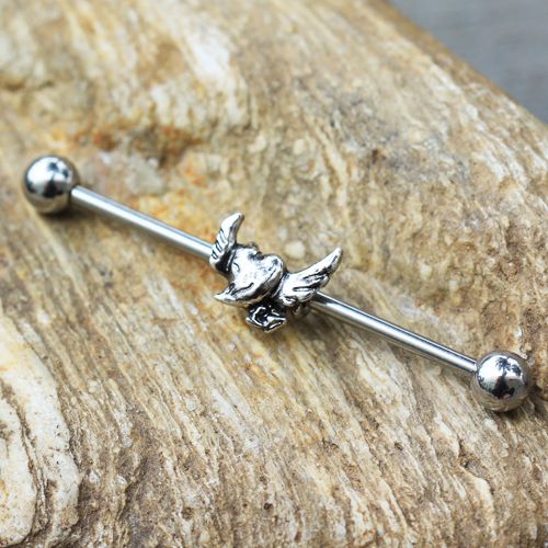 316L Stainless Steel Winged Devil's Heart Industrial Barbell