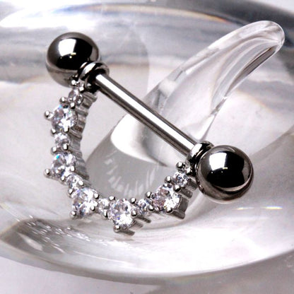 316L Stainless Steel Glittering Ornamental Nipple Shield