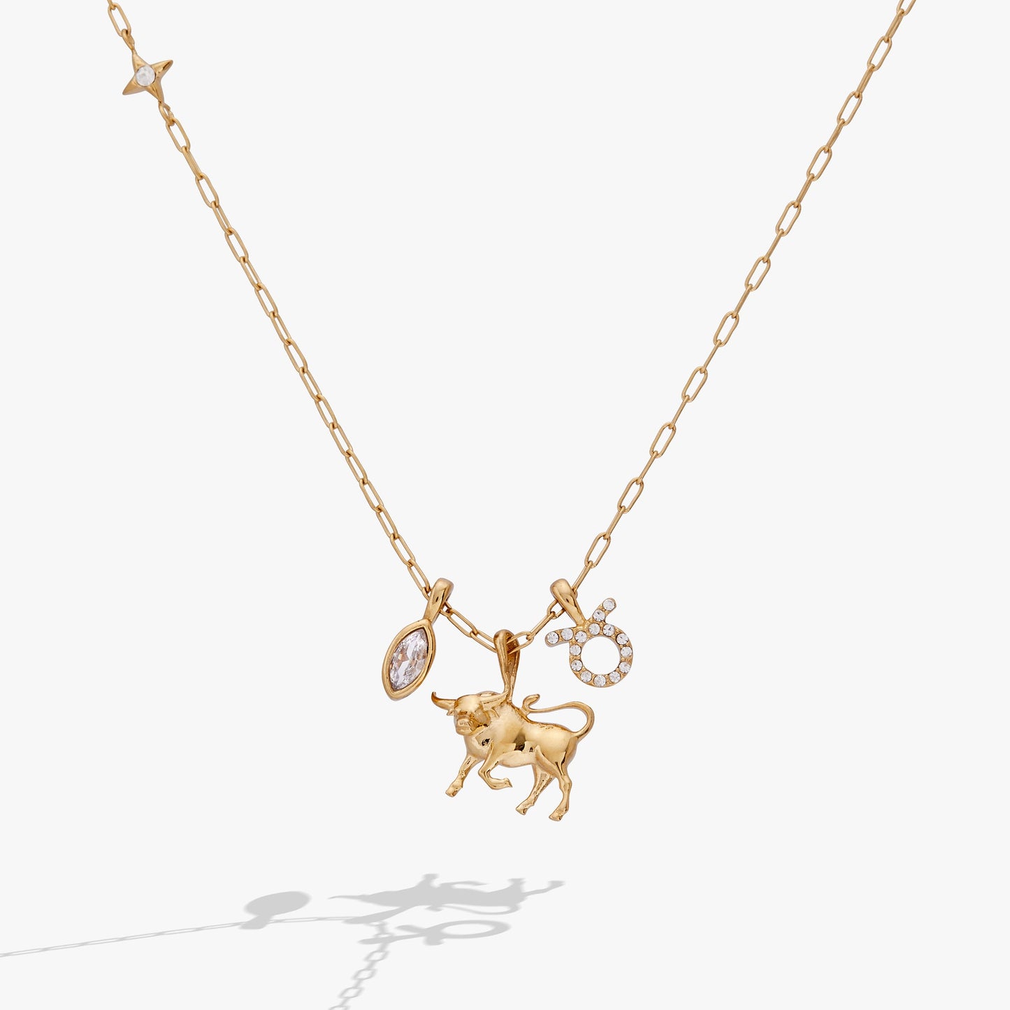 Taurus Zodiac Charm Cluster Necklace - ALEX AND ANI