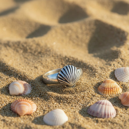 Seashell Sterling Silver Toe Ring | Fashion Hut Jewelry