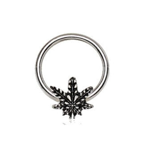 316L Stainless Steel Pot Leaf Snap-in Captive Bead Ring / Septum Ring | Fashion Hut Jewelry